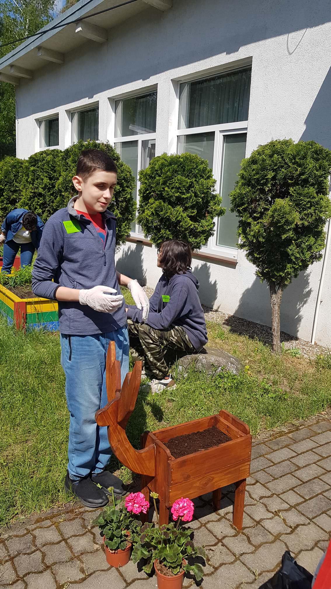 Chłopiec wsadza kwiaty do drewnianego kwietnika w kształcie jelenia.
