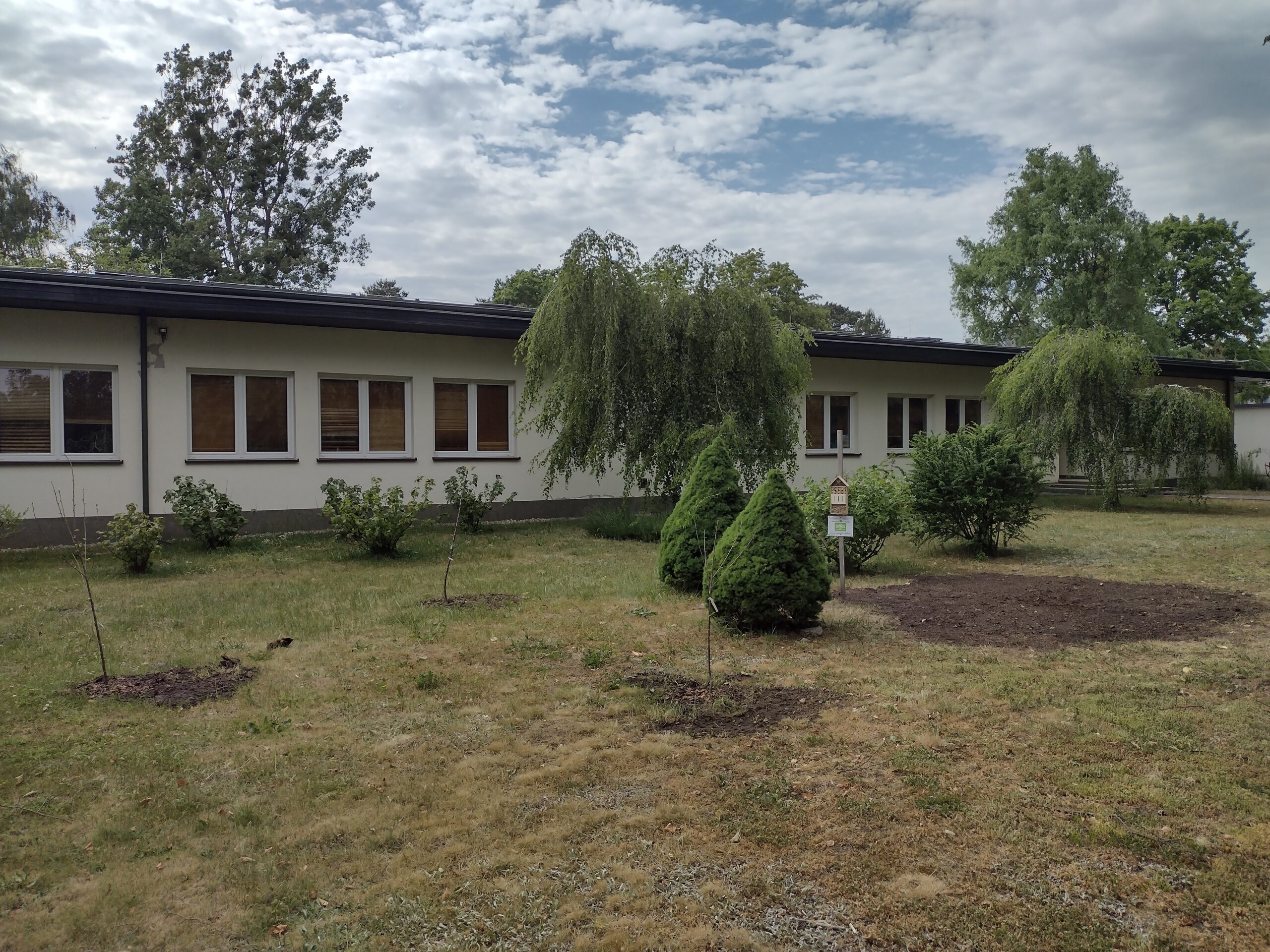 WIdok na plac przed szkołą, gdzie urośnie kwietna łąka.