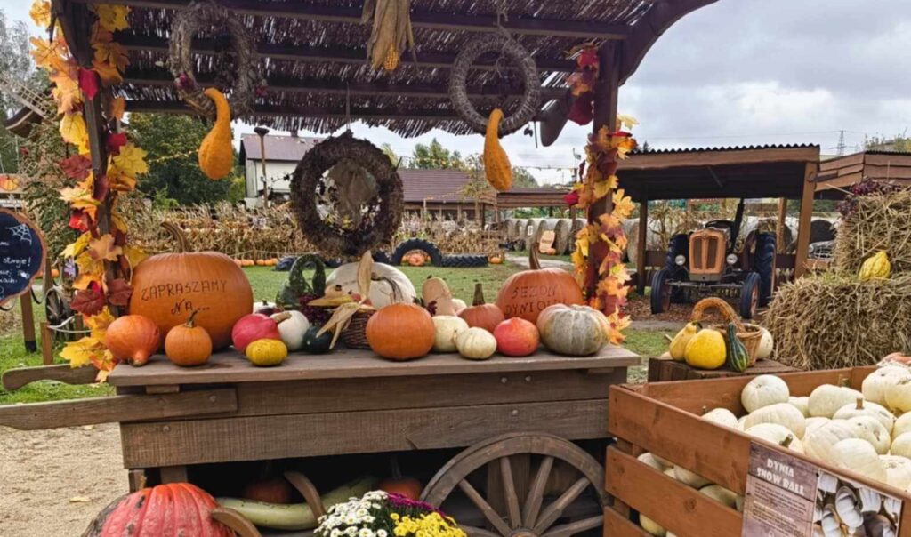 wejście na farmę dyń udekorowane warzywami
