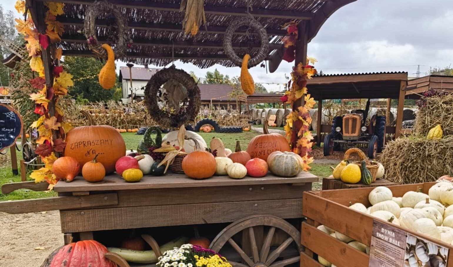wejście na farmę dyń udekorowane warzywami