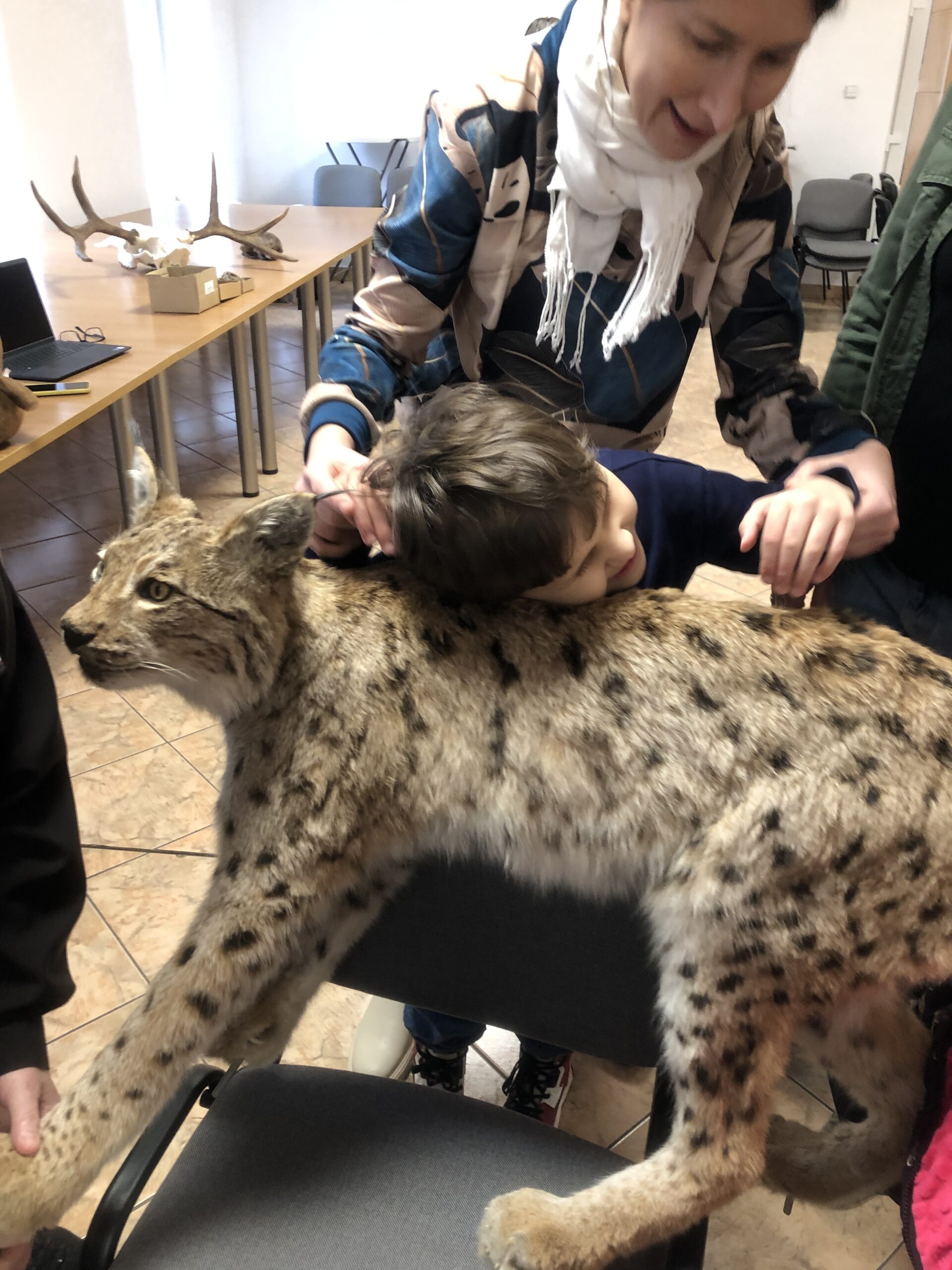 Chłopiec przytula się do wypchanego rysia.
