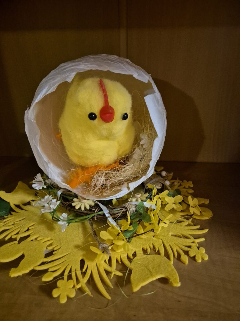 Duży kurczaczek na sianku w skorupce jajka