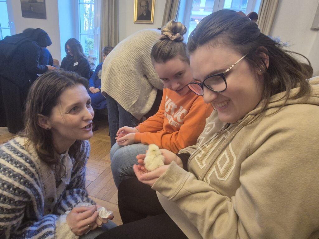 Amelia trzyma  w ręku kurczaczka.
