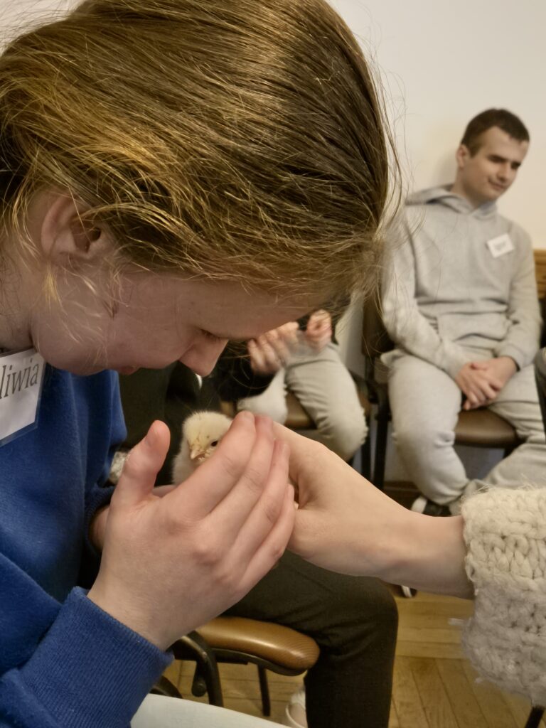 Oliwia trzyma małego kurczaczka