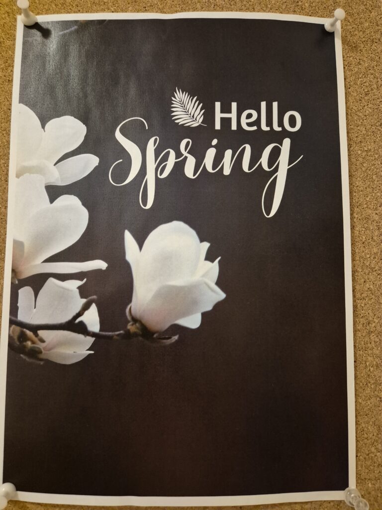 Plakat z gałązką magnolii  i napisem Hello Spirng w grupie 3.