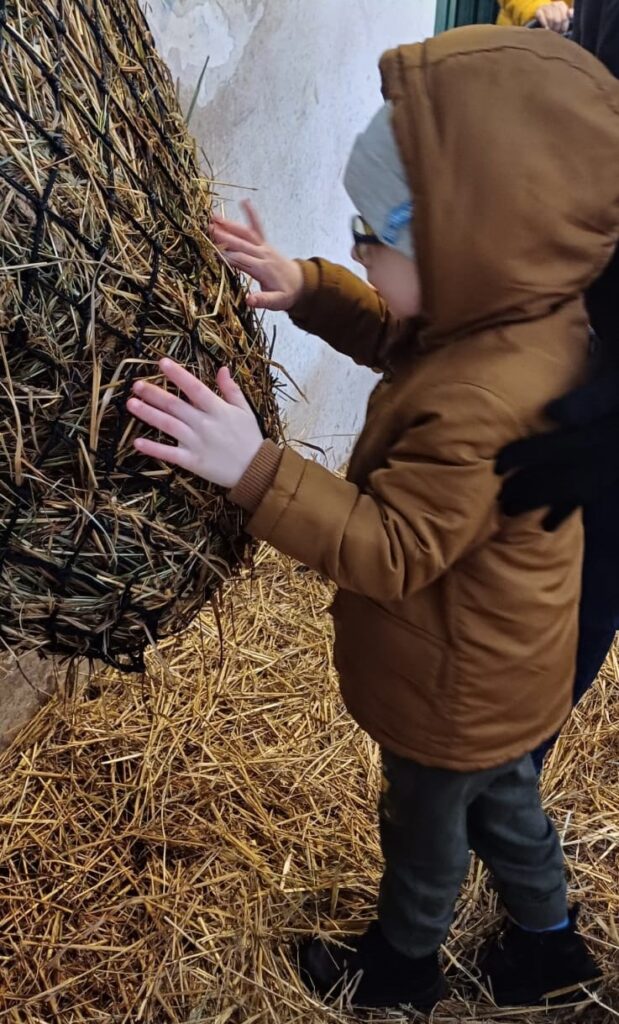 Chłopiec ogląda siano w siatce.