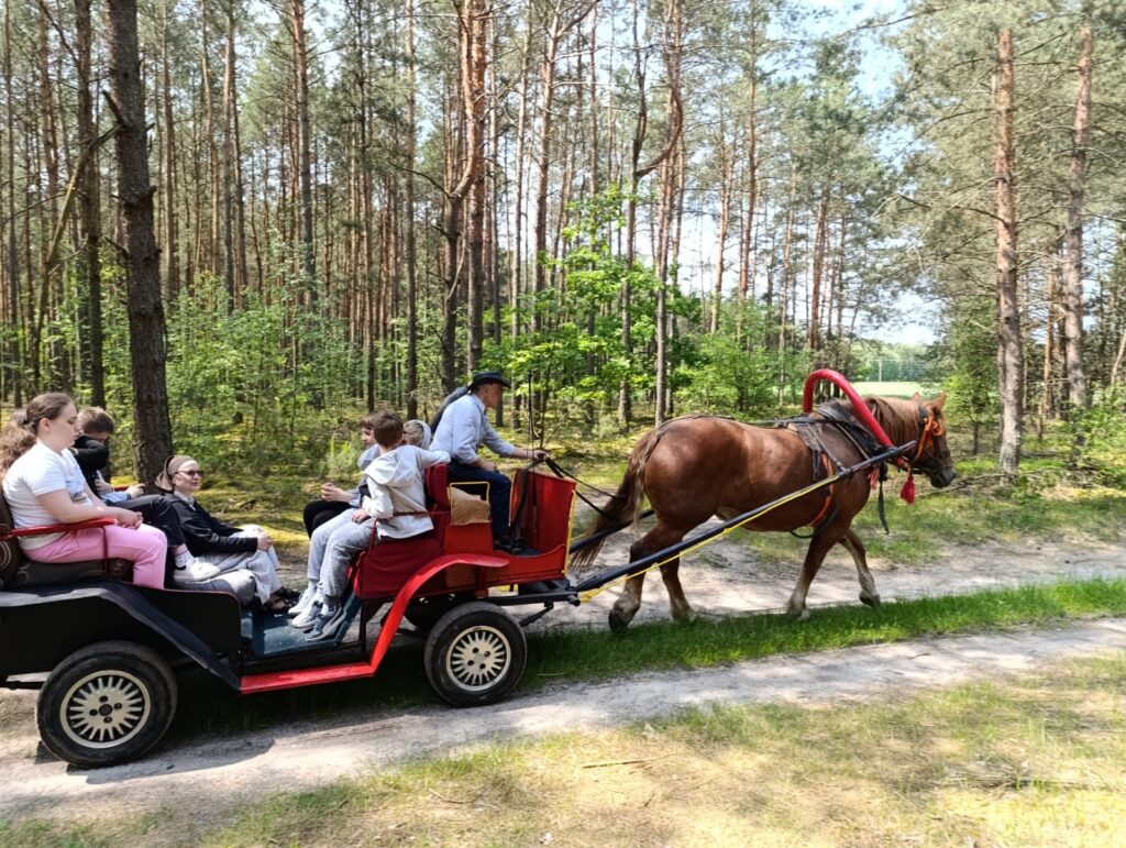 Jazda konnym zaprzęgiem