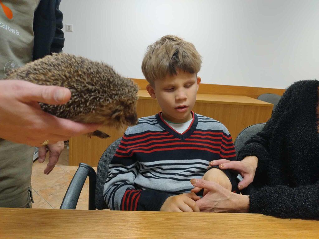 uczeń ogląda jeża