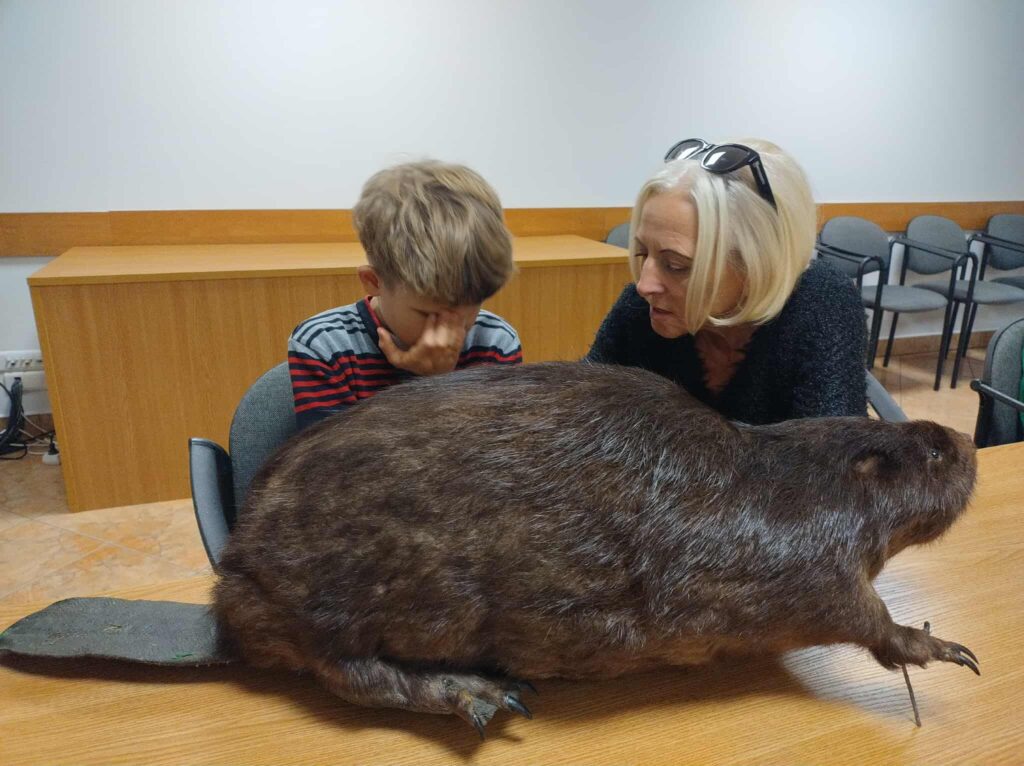 uczeń ogląda bobra