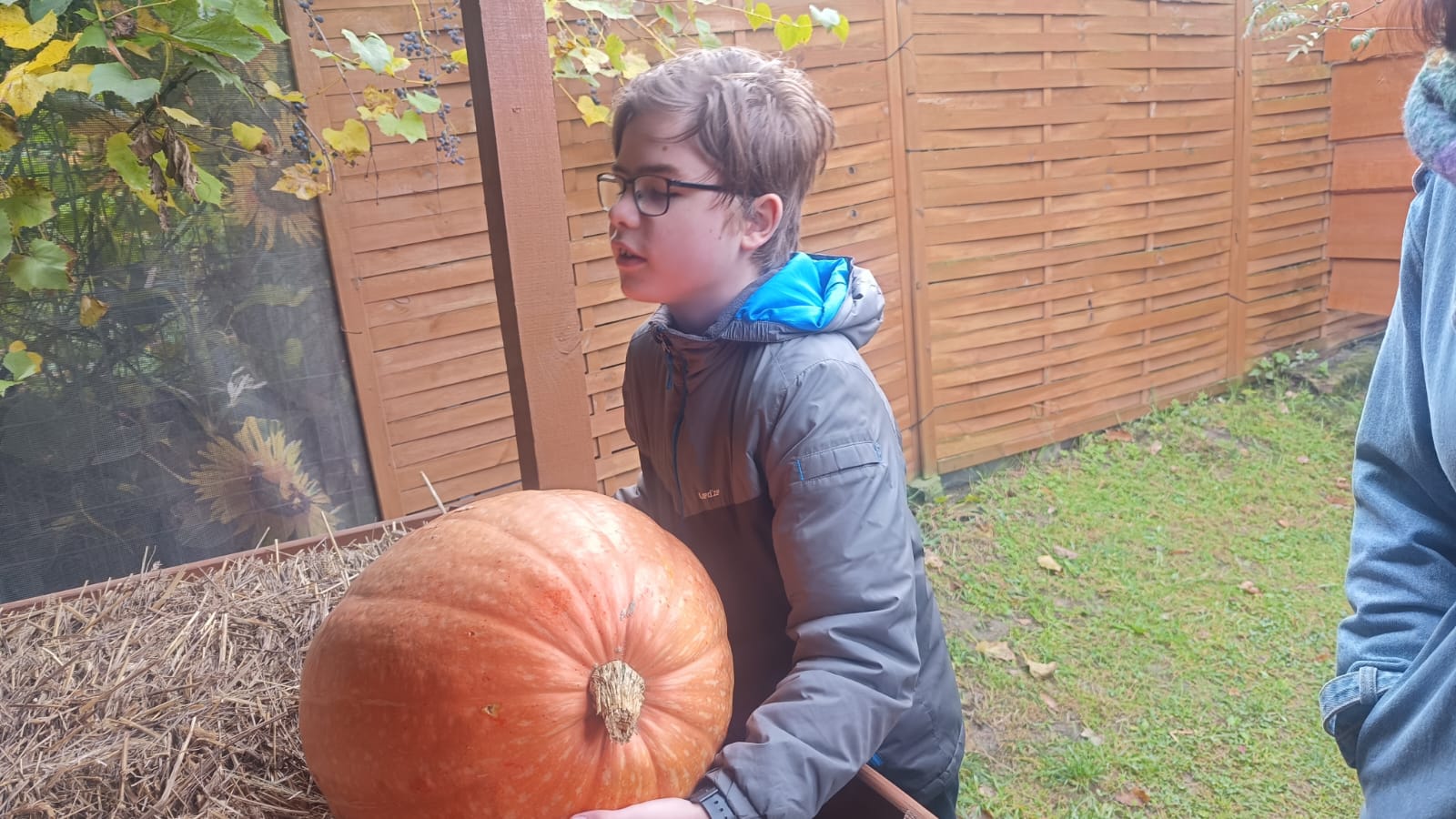 Chłopiec próbuje odnieść ogromną dynię