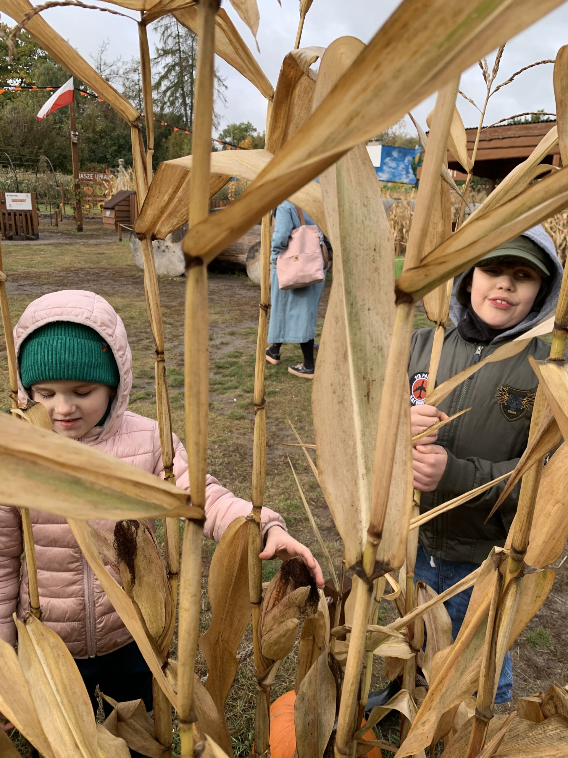 Dzieci oglądają kukurydzę