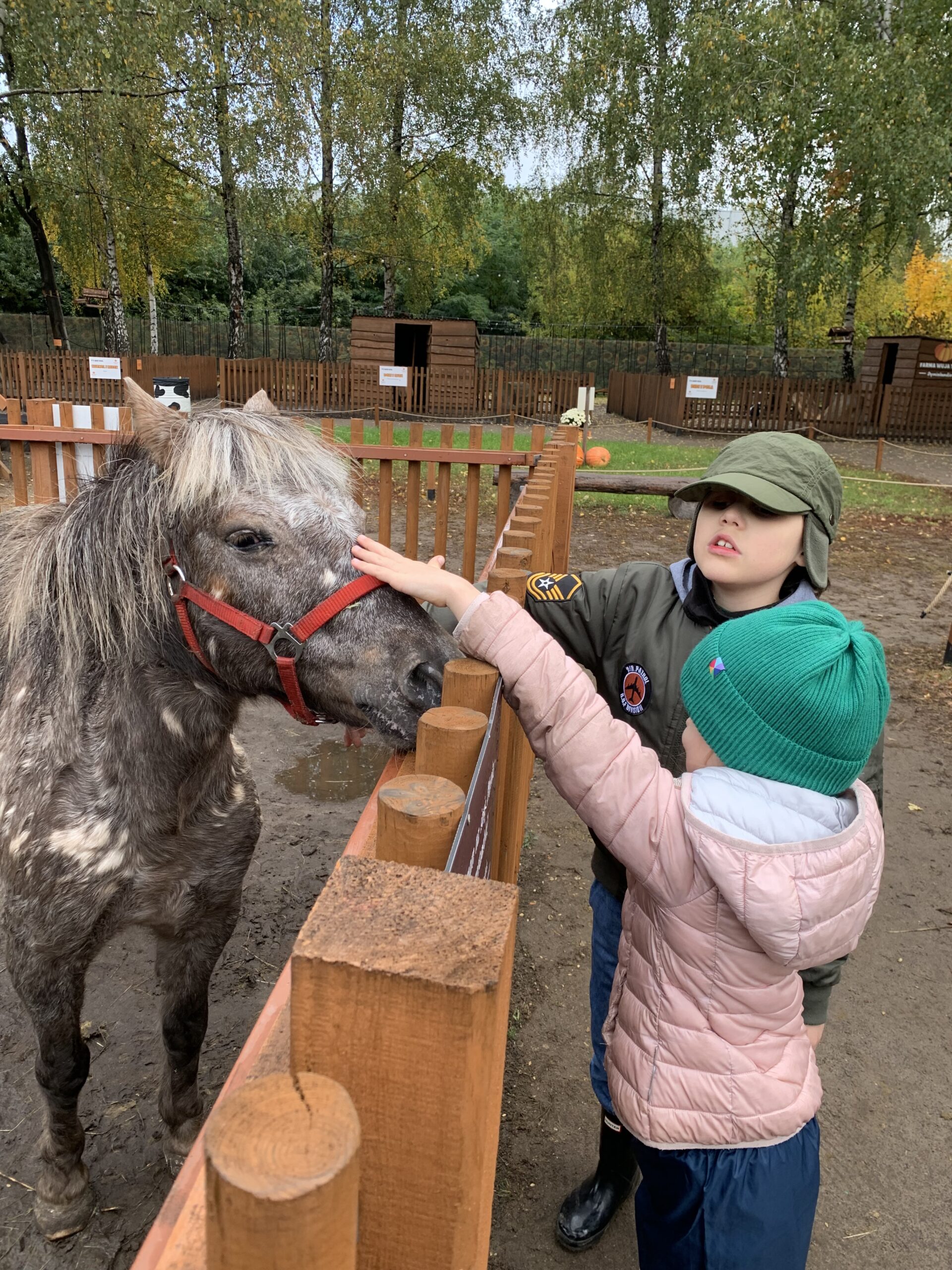 Dzieci oglądają głowę kucyka
