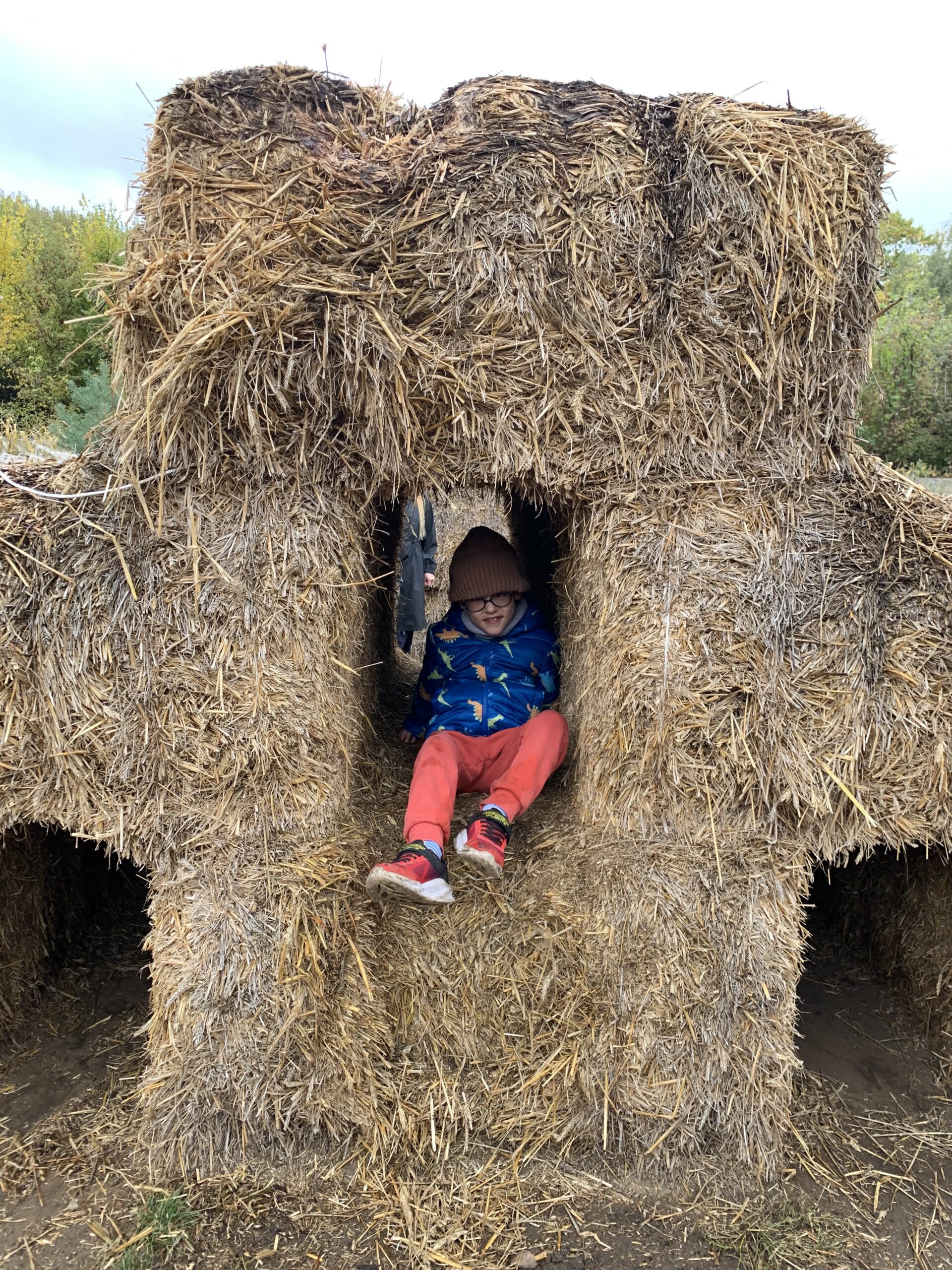 Chłopiec wychodzi ze słomianego labiryntu