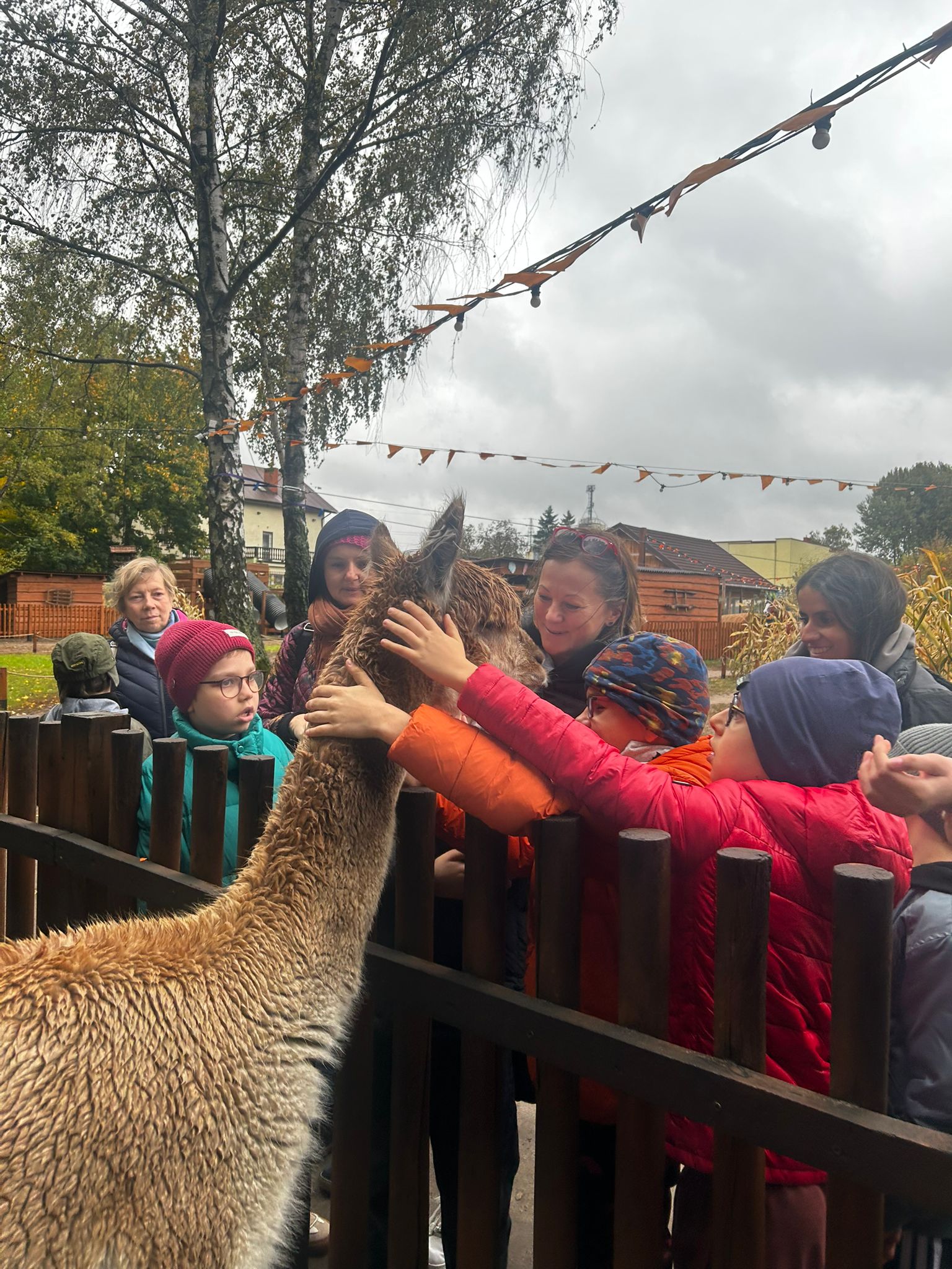 Uczniowie oglądają i karmią lamę