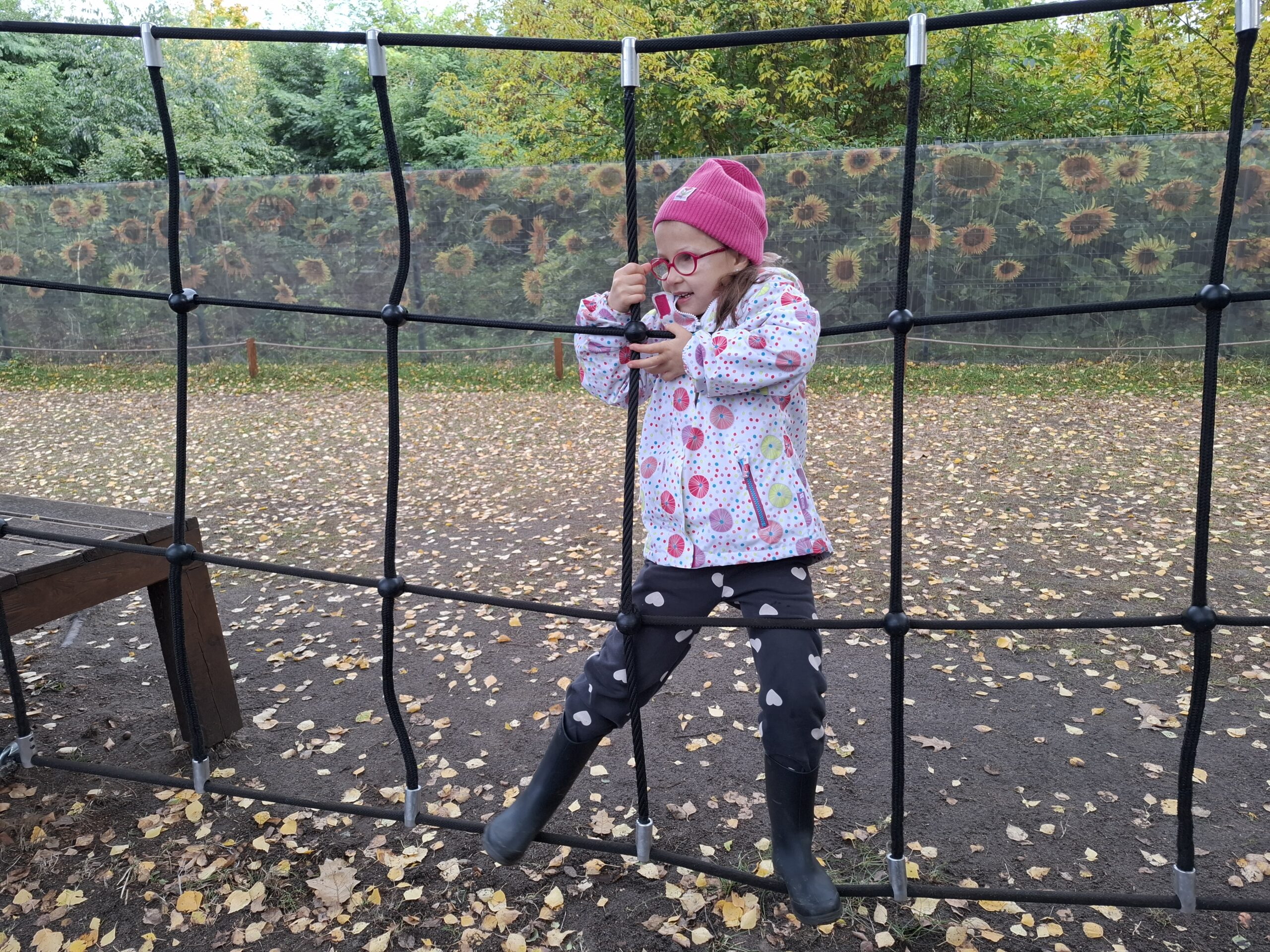 Dziewczynka w parku linowym