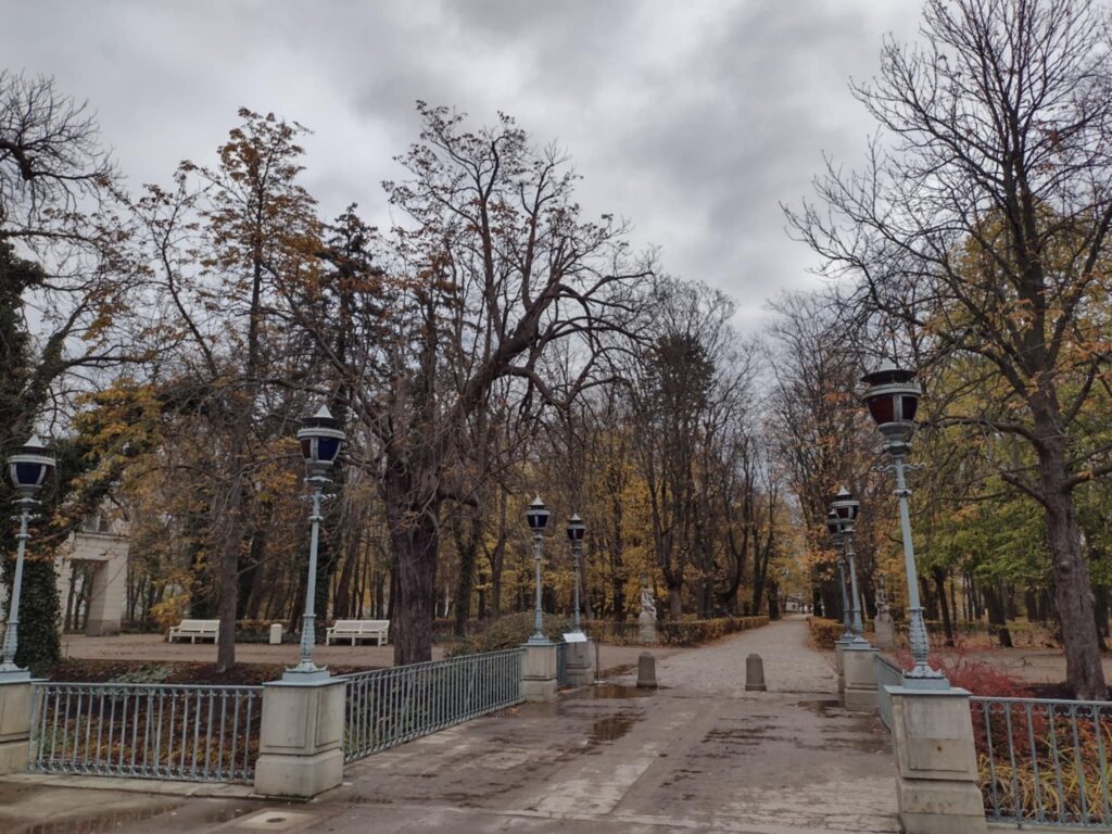 Zdjęcie ukazuje aleję lub ścieżkę biegnącą przez teren obsadzony drzewami o częściowo ogołoconych gałęziach i brązowo-żółtych liściach. 