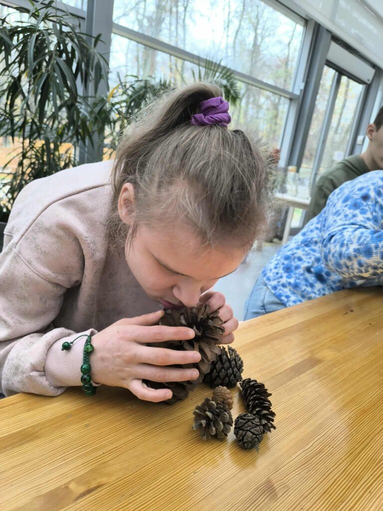 uczennica ogląda szyszki