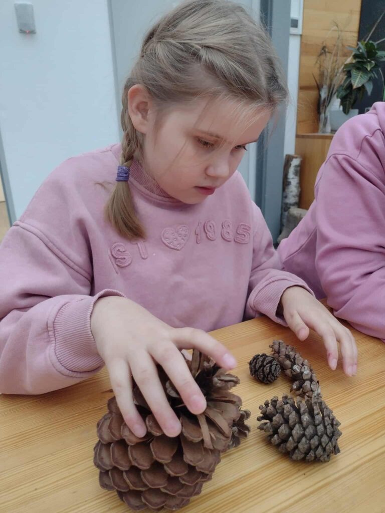 uczennica ogląda szyszki