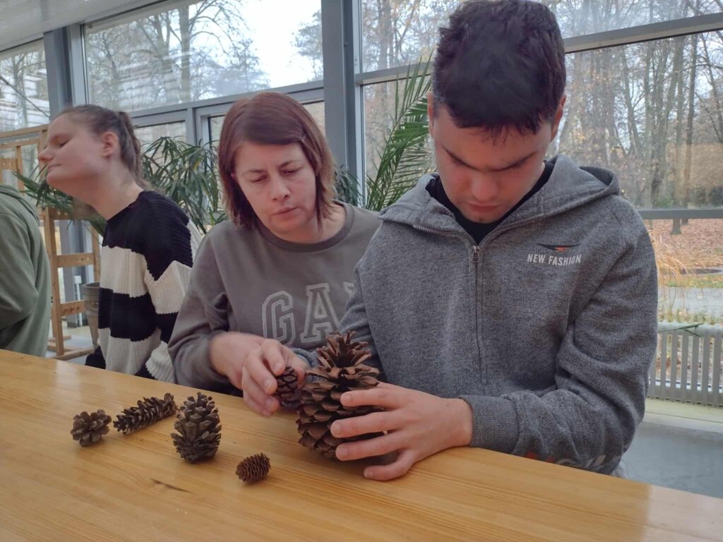 uczeń ogląda szyszki