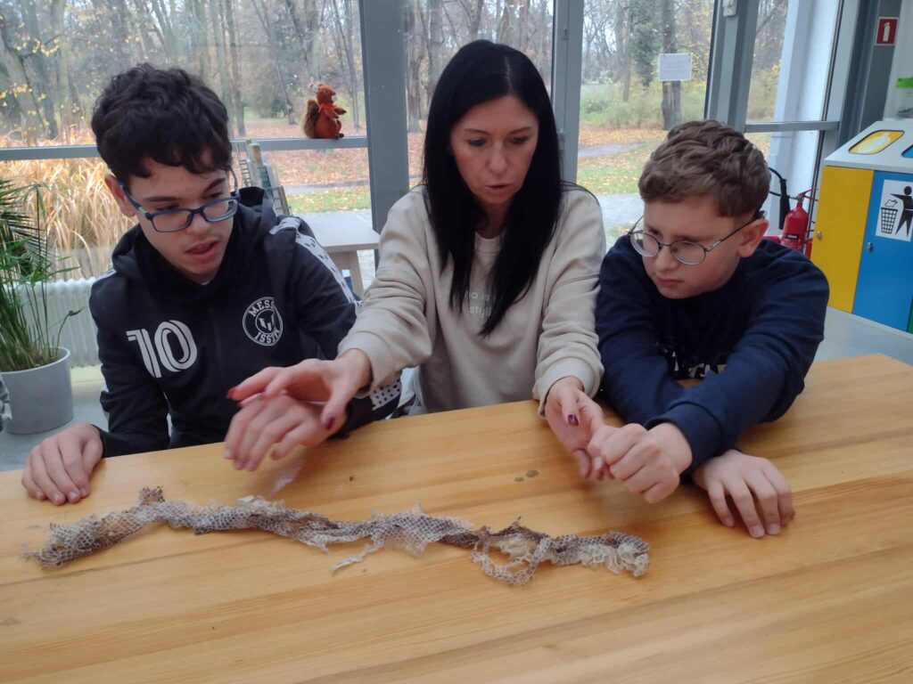 uczniowie oglądają wylinkę węża