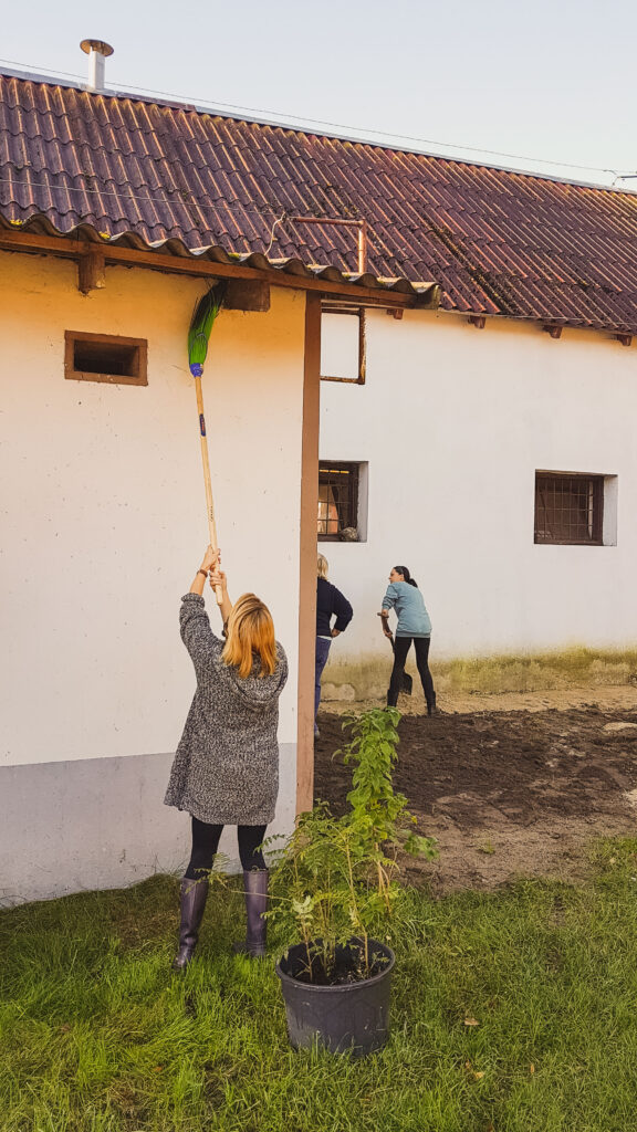 wolontariusze sprzątający teren wokół budynku
