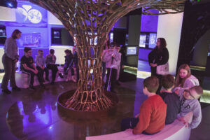 w muzeum przy "złotym drzewie"