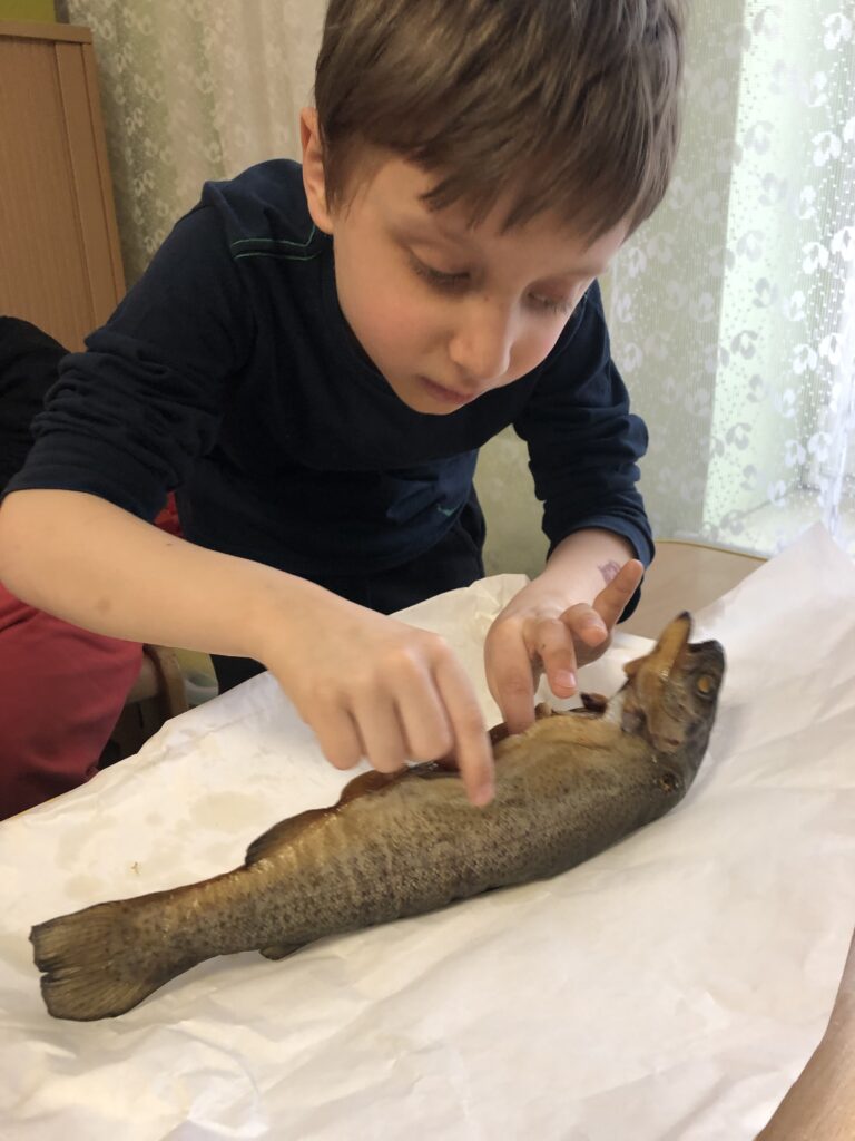 Chłopiec ogląda rybę wędzoną.