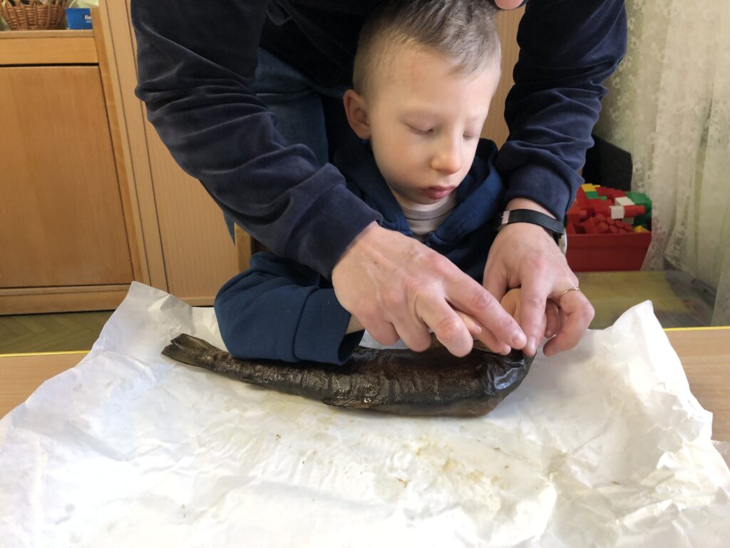 Chłopiec ogląda rybę wędzoną.