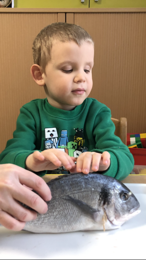 Chłopiec ogląda rybę.