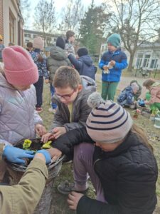 Czworo uczniów sadzi bratki
