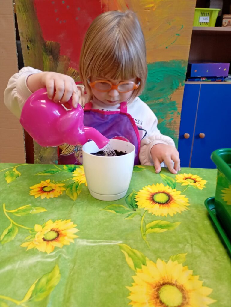 Dziewczynka różową konewką podlewa ziemię w białej doniczce.