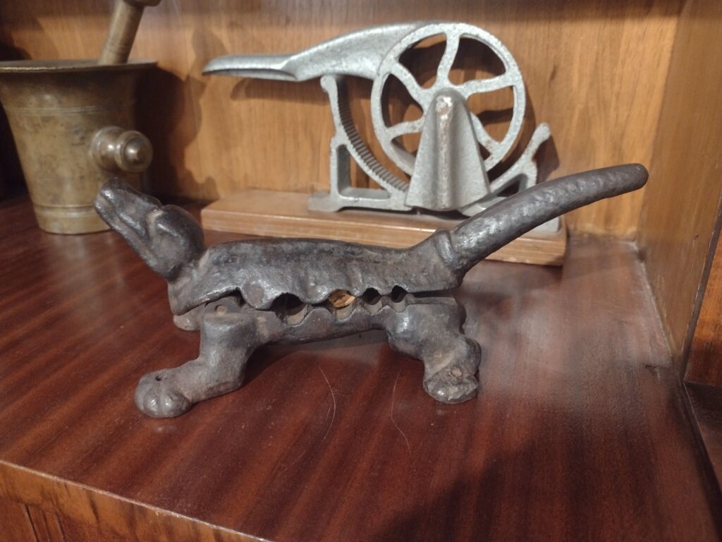 Zabytkowy, żeliwny przyrząd w kształcie krokodyla służący do korkowania butelek to jeden z wielu fascynujących i nietypowych eksponatów, które uczniowie mogli z bliska podziwiać w Muzeum Farmacji.