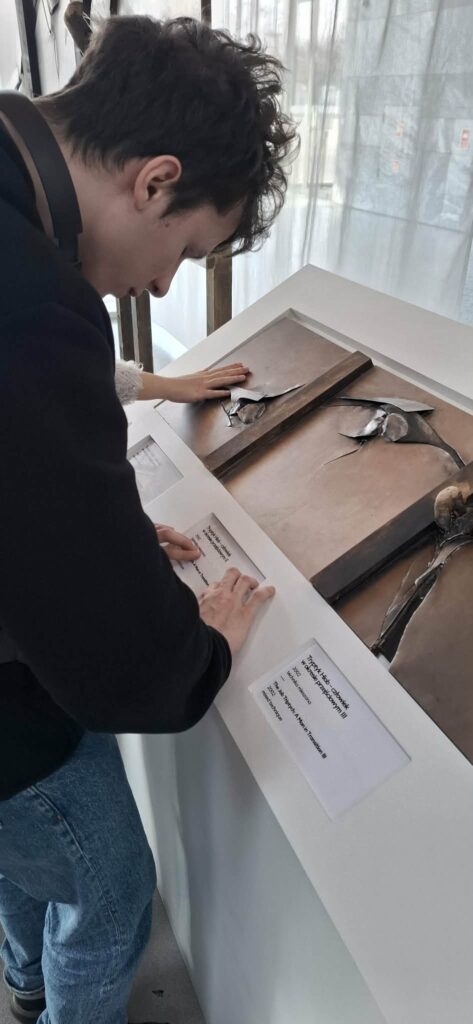 Uczeń poznaje dzieło z cyklu „Tryptyk Hiob – człowiek w okresie przejściowym”, korzystając z tyflografiki, która pozwala na dotykowe doświadczenie sztuki Gero Hellmutha prezentowanej w Muzeum Historii Polski.