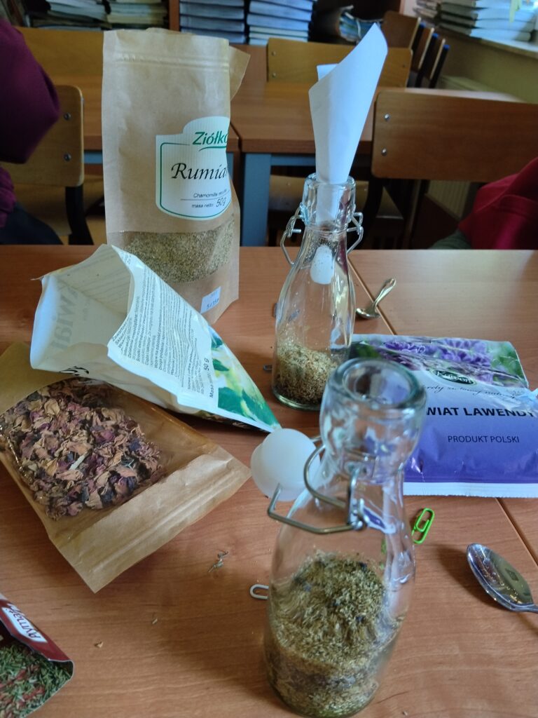Na szkolnym stole stoją szklane butelki z krachlą, do których za pomocą papierowego lejka wsypywane są suszone zioła i kwiaty, takie jak rumianek czy lawenda, przygotowane do zrobienia domowych octów kosmetycznych.